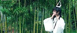 鳳凰竹蕭圖片