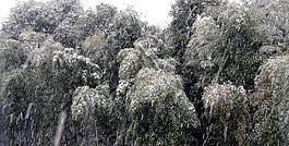 雪景圖片