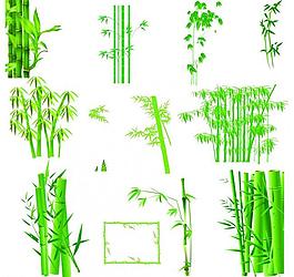 竹子图层图片
