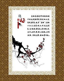 梅花圖片