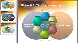 ppt統(tǒng)計(jì)模板圖片