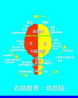 右腦教育海報圖片