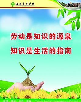 校園文化展板圖片