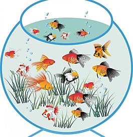 魚缸圖片