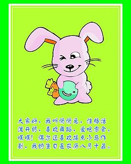兔子圖片