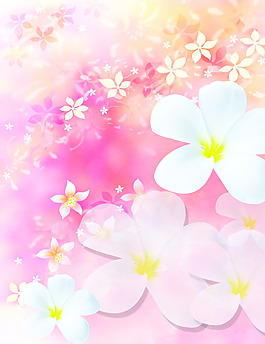 夢(mèng)幻花朵移門(mén)