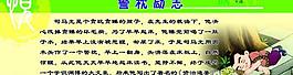 學校文化墻 學校宣傳圖片