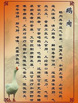 鵝當(dāng)家菜譜圖片