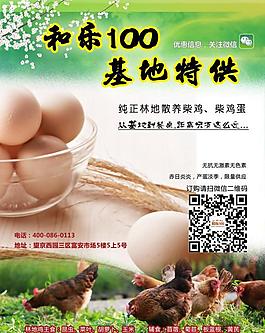 雞蛋柴雞蛋店招海報圖片