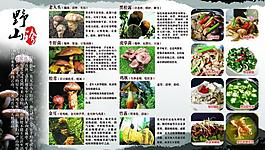 野山菌菜譜圖片
