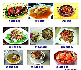 鱷魚菜譜圖片