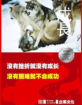 墙贴 标语图片