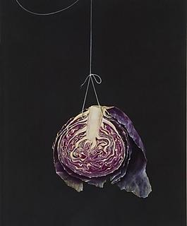 卷心菜圖片