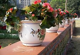 高清 花瓶圖片