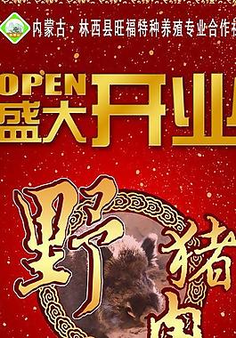 開業(yè)展架圖片
