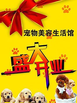 盛大開(kāi)業(yè)圖片