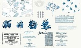 男童設(shè)計圖案素材圖片