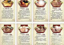 中醫推拿圖片