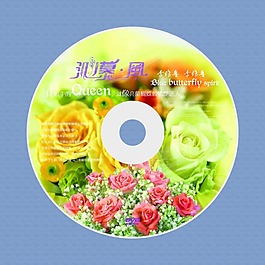 天生日光盤封面