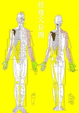 穴位圖片