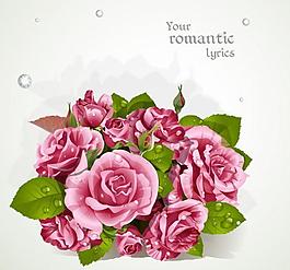 玫瑰花圖片