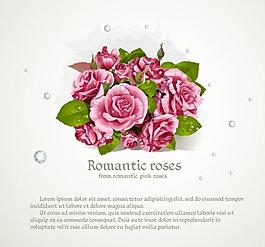 玫瑰花圖片