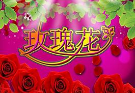 玫瑰花圖片