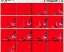 玫瑰花含通道圖片
