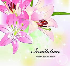 百合鮮花花卡圖片