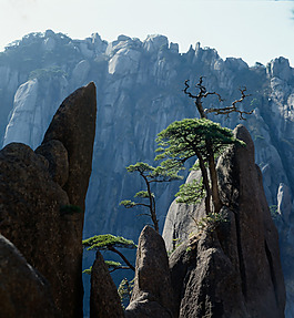 高山風景壁紙