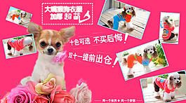 寵物狗狗海報