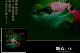 相冊模板圖片