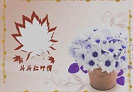 相冊模板圖片