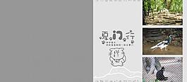 旅游冊相冊模版圖片