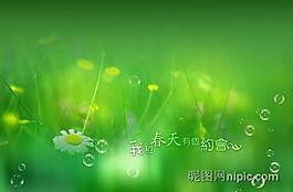 相冊模板圖片