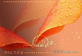 相冊模板圖片