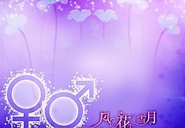 婚莎相冊模板圖片
