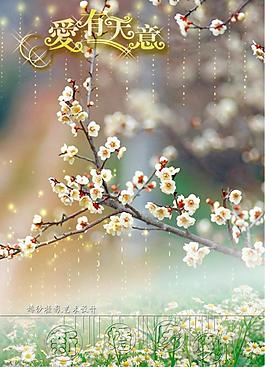 16寸婚紗相冊封面圖片