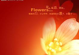 兒童相冊模板圖片