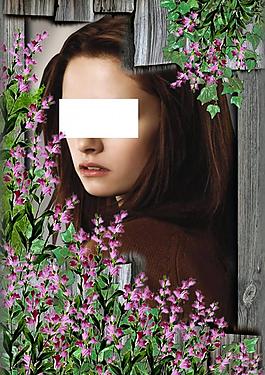 丁香花相冊(cè)背景相框圖片