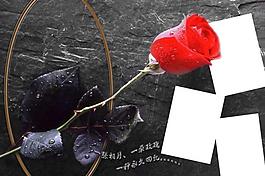 時尚 婚紗 素材圖片