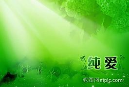 分層婚紗模板圖片