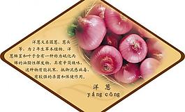 春季健康食品圖片