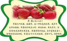 春季健康食品圖片