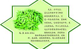 春季健康食品圖片