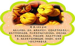 春季健康食品圖片