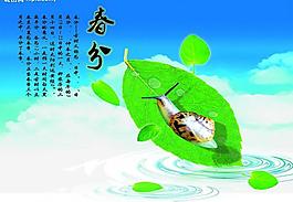 春季節(jié)氣之春分圖片