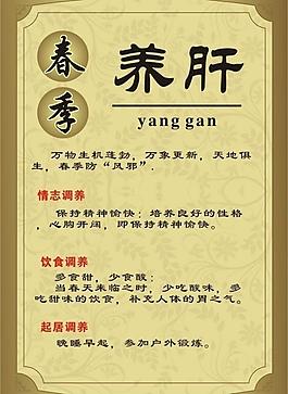 養(yǎng)肝圖片
