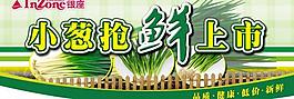小蔥搶鮮上市圖片
