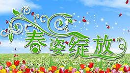 春姿綻放圖片